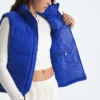 1996 Retro Nuptse DTM-väst för damer 1996 Retro Nuptse DTM-väst för damer