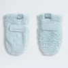 Baby Bear-vantar Baby Bear-vantar