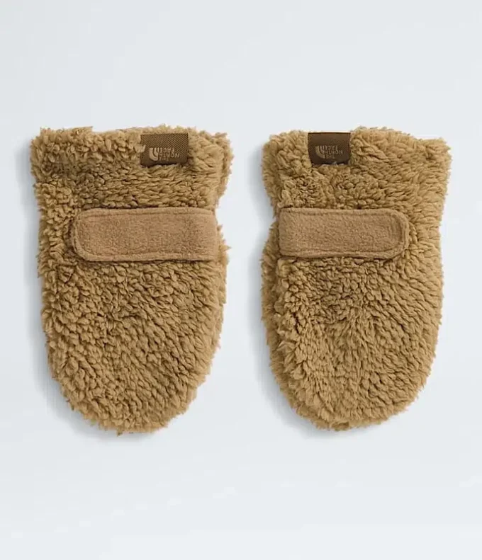 Baby Bear-vantar Baby Bear-vantar