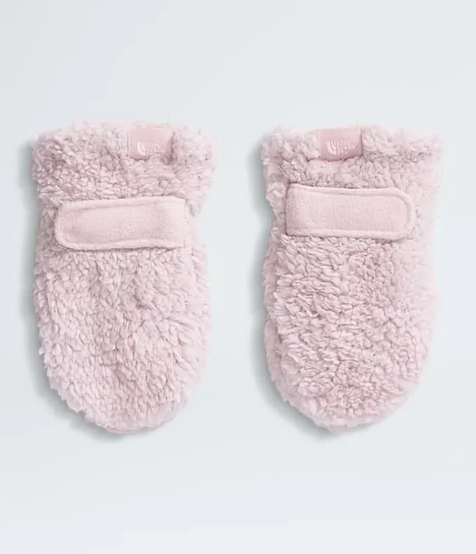 Baby Bear-vantar Baby Bear-vantar