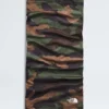 Basgaiter Basgaiter