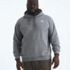 Big Evolution Simple Dome Hoodie för herr