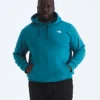 Big Evolution Simple Dome Hoodie för herr