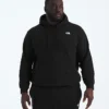 Big Evolution Simple Dome Hoodie för herr
