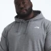 Big Evolution Simple Dome Hoodie för herr
