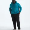 Big Evolution Simple Dome Hoodie för herr