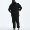 Big Evolution Simple Dome Hoodie för herr