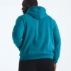 Big Evolution Simple Dome Hoodie för herr
