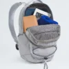 Borealis Mini-ryggsäck Borealis Mini-ryggsäck
