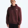 Evolution Box Camo Fill Hoodie för herr – Grafik Evolution Box Camo Fill Hoodie för herr – Grafik