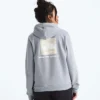 Evolution Box NSE Fill Light Hoodie för damer – Grafik