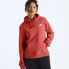 Evolution Box NSE Fill Light Hoodie för damer – Grafik Evolution Box NSE Fill Light Hoodie för damer – Grafik