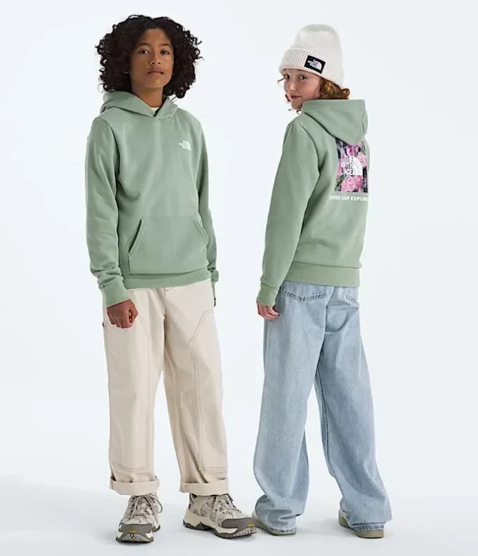 Evolution Box NSE Pullover Hoodie för pojkar och flickor – Grafik Evolution Box NSE Pullover Hoodie för pojkar och flickor – Grafik