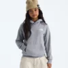Evolution Box NSE Pullover Hoodie för pojkar och flickor – Grafik Evolution Box NSE Pullover Hoodie för pojkar och flickor – Grafik