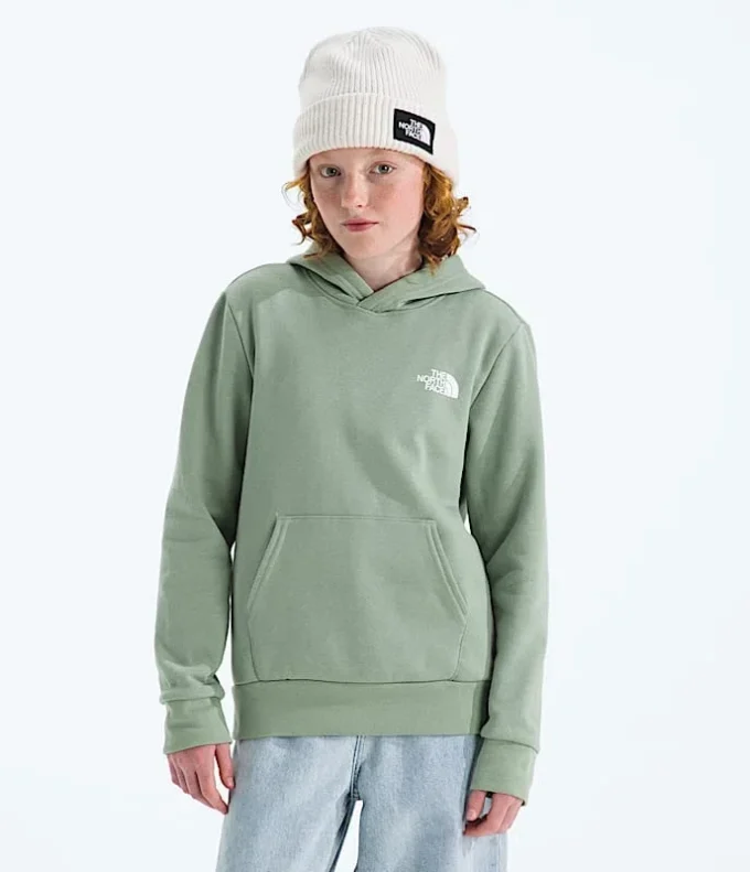 Evolution Box NSE Pullover Hoodie för pojkar och flickor – Grafik Evolution Box NSE Pullover Hoodie för pojkar och flickor – Grafik