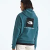 Evolution Box NSE Regular Hoodie för dam Evolution Box NSE Regular Hoodie för dam