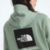 Evolution Box NSE Regular Hoodie för dam Evolution Box NSE Regular Hoodie för dam