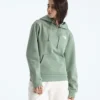 Evolution Box NSE Regular Hoodie för dam Evolution Box NSE Regular Hoodie för dam