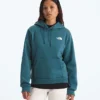 Evolution Box NSE Regular Hoodie för dam Evolution Box NSE Regular Hoodie för dam