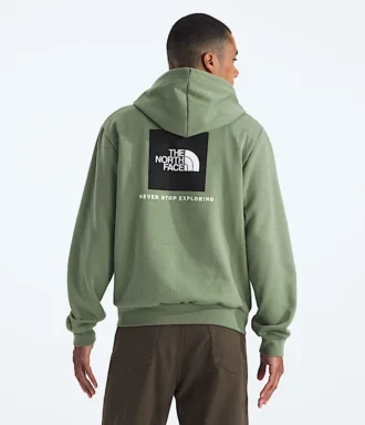 Evolution Box NSE Regular Hoodie för herr