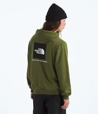 Evolution Box NSE Regular Hoodie för herr
