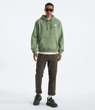 Evolution Box NSE Regular Hoodie för herr