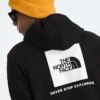 Evolution Box NSE Regular Hoodie för herr Evolution Box NSE Regular Hoodie för herr