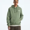 Evolution Box NSE Regular Hoodie för herr Evolution Box NSE Regular Hoodie för herr