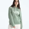 Evolution Half Dome Regular Hoodie för damer