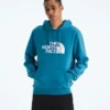 Evolution Half Dome Regular Hoodie för herr