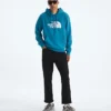 Evolution Half Dome Regular Hoodie för herr