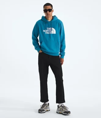 Evolution Half Dome Regular Hoodie för herr