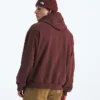 Evolution Simple Dome Oversized Hoodie för herr Evolution Simple Dome Oversized Hoodie för herr