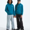 Evolution Simple Dome Pullover Hoodie för pojkar och flickor Evolution Simple Dome Pullover Hoodie för pojkar och flickor