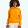Evolution Simple Dome Pullover Hoodie för pojkar och flickor Evolution Simple Dome Pullover Hoodie för pojkar och flickor