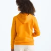 Evolution Simple Dome Pullover Hoodie för pojkar och flickor Evolution Simple Dome Pullover Hoodie för pojkar och flickor
