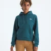 Evolution Simple Dome Regular Hoodie för damer Evolution Simple Dome Regular Hoodie för damer