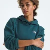Evolution Simple Dome Regular Hoodie för damer Evolution Simple Dome Regular Hoodie för damer