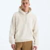 Evolution Simple Dome Regular Hoodie för herr Evolution Simple Dome Regular Hoodie för herr