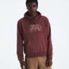 Evolution TNF™ Bear Hoodie för herr – Grafik
