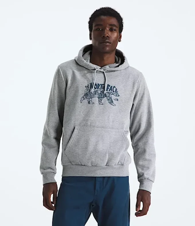 Evolution TNF™ Bear Hoodie för herr – Grafik