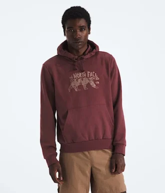 Evolution TNF™ Bear Hoodie för herr – Grafik