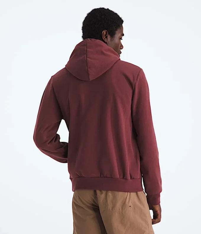 Evolution TNF™ Bear Hoodie för herr – Grafik