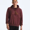 Evolution TNF™ MTN Hoodie för herr – Grafik