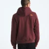 Evolution TNF™ MTN Hoodie för herr – Grafik