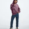 Evolution Vintage Hoodie för herr