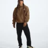 Evolution Vintage Hoodie för herr
