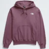 Evolution Vintage Hoodie för herr