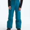 Freedom Insulated Pants för pojkar
