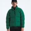 Herrjacka 1996 Retro Nuptse DTM Herrjacka 1996 Retro Nuptse DTM